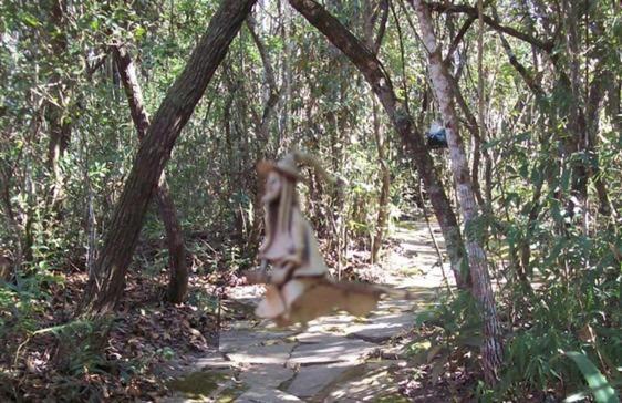 Chales City Camael Sao Tome das Letras Exterior photo